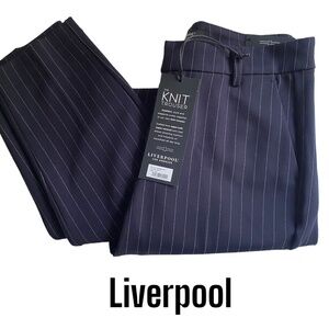 NWT LIVERPOOL Renee Straight Leg Knit Trouser, NAVY, Size 4